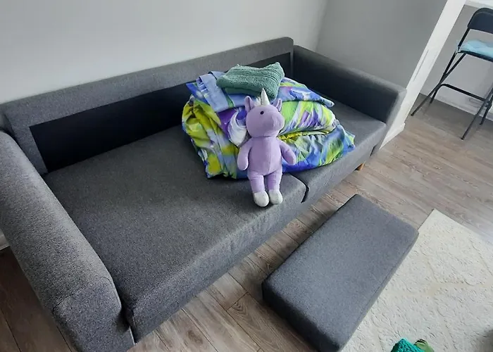 Smile ღ Апартаменты Клайпеда